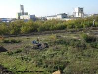 Imagine atasata: Shopping City Timisoara - 2015.11.12 - 11.jpg